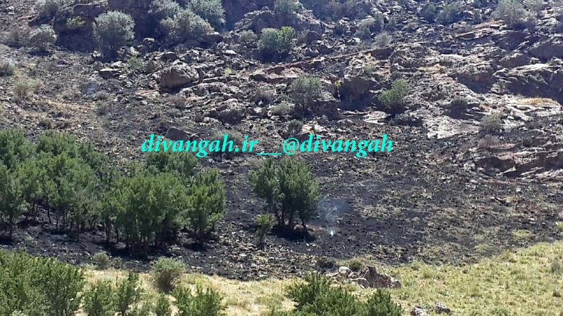 حدود یک هکنار از مراتع بخش بیستون دچار آتش سوزی شد
