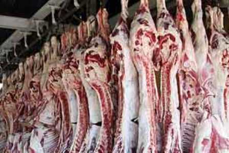 کشف و معدومسازی 11 لاشه کشتار غیرمجاز در هرسین کشف و معدومسازی 11 لاشه کشتار غیرمجاز در هرسین