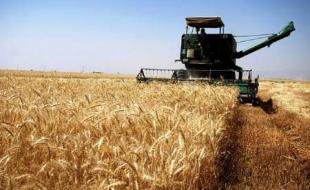 دولتِ واردات!