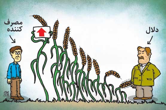 افزایش قیمت برنج خارجی 