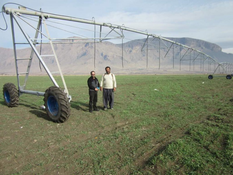 توسعه طرح های آبیاری تحت فشار درسطح  1609 هکتار از مزارع شهرستان هرسین