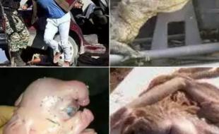 مروری بر شایعات شاخدار فضای مجازی ایران/ از خاکسپاری هیولا در جنوب کشور تا انفجار مرگ بار و صادرات کفن به کرمانشاه