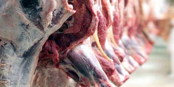 ضبط و معدومسازی 155 کیلوگرم گوشت کشتار غیرمجاز در هرسین ضبط و معدومسازی 155 کیلوگرم گوشت کشتار غیرمجاز در هرسین