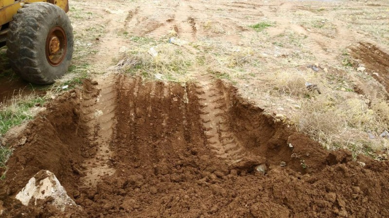 دفن بهداشتی لاشه ۲۰۰ مرغ رها شده در حاشیه جاده در هرسین