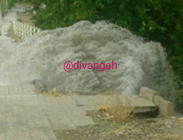 بارش باران باعث آب‌گرفتگی در برخی معابر هرسین شد+عکس و فیلم