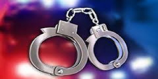 دستگیری سارق احشام در هرسین 