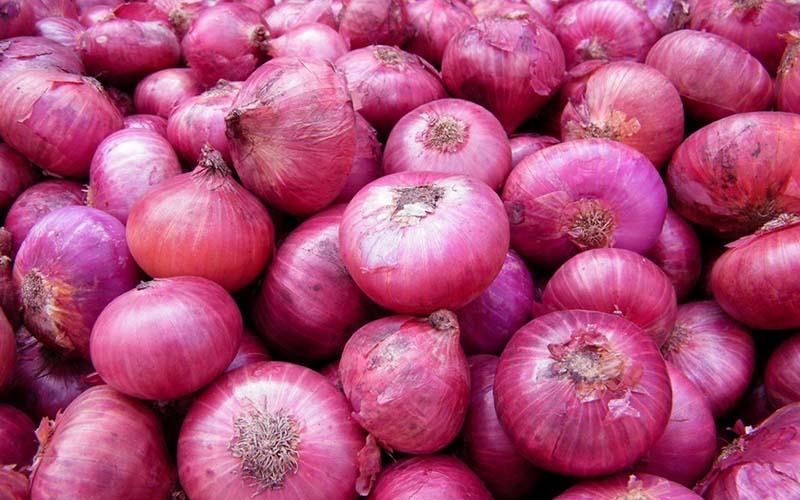 باید بتوانیم با برگزاری جشنواره ،پیاز هرسین را به یک برند تبدیل کنیم 