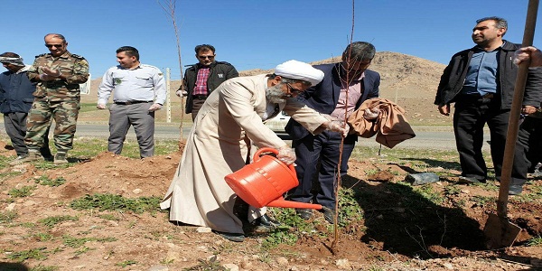 غرس 14500 اصله نهال در شهرستان هرسین 