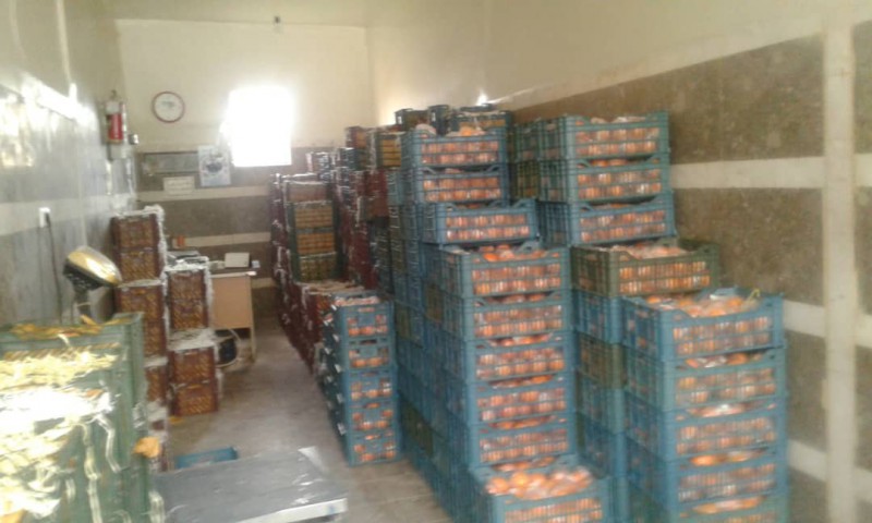 توزیع میوه شب عید با قیمت مصوب در هرسین/ توزیع برنج از فردا در ده نقطه شهرستان