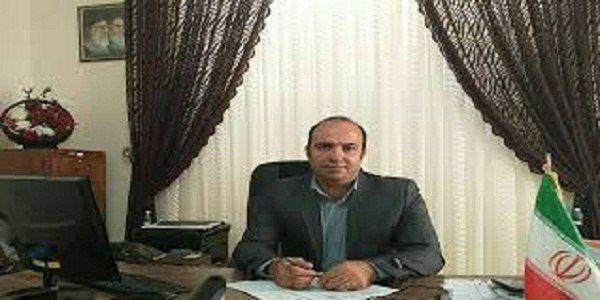 15تن مرغ تنظیم بازار در هرسین توزیع شد