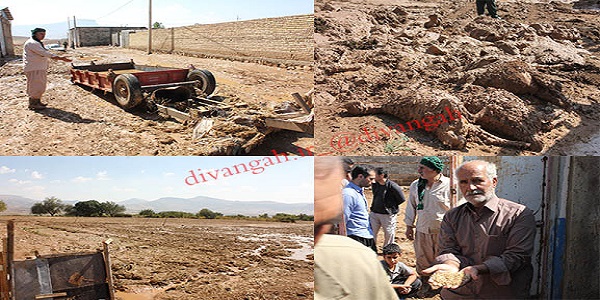 خسارت 9میلیارد و سیصد میلیون تومانی سیل اخیر به مزارع، باغات، دام و زیرساخت های کشاورزی در هرسین خسارت 9میلیارد و سیصد میلیون تومانی سیل اخیر به مزارع، باغات، دام و زیرساخت های کشاورزی در هرسین