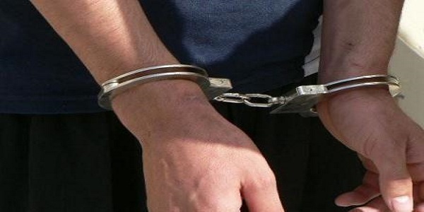 دستگیری سارق خانه باغ های بیستون