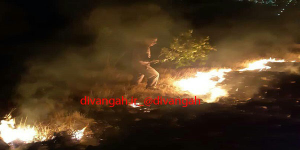 آتش سوزی ارتفاعات حفاظت شده بیستون پس از 24ساعت مهار شد آتش سوزی ارتفاعات حفاظت شده بیستون پس از 24ساعت مهار شد