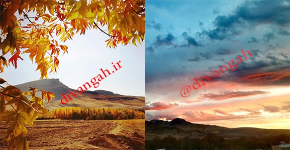 طبیعت زیبای هرسین در پاییز برگ‌ ریز+ تصاویر