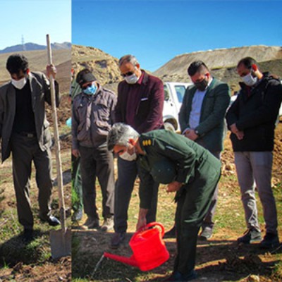 ۲۸۰۰ اصله نهال در شهرستان هرسین غرس شد