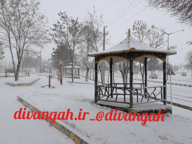 بارش برف هرسین را سفید پوش کرد+ تصاویر