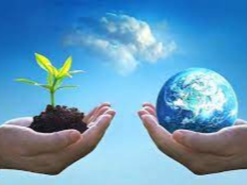 معاینه فنی تاکسی های هرسین و بیستون به مناسبت روز هوای پاک رایگان می باشد