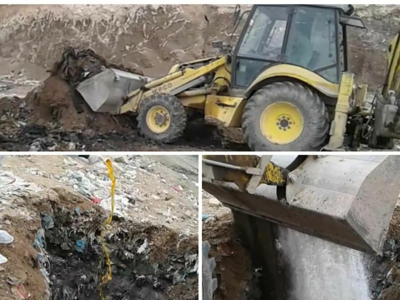 دفن بهداشتی لاشه های تلف شده دام در یکی از دامداری های شهرستان