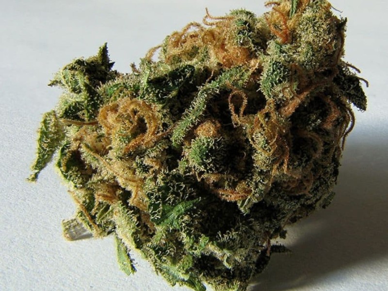 کشف ۴ کیلو گرم ماده مخدر گل در هرسین کشف ۴ کیلو گرم ماده مخدر گل در هرسین