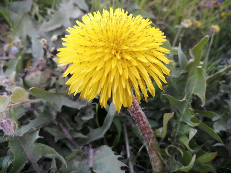 تصاویر زیبای بهاری در هرسین