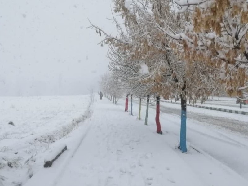 بارش 20میلیمتری برف در شهرستان هرسین/ مثبت شدن بارش ها نسیت به مدت مشابه سال قبل