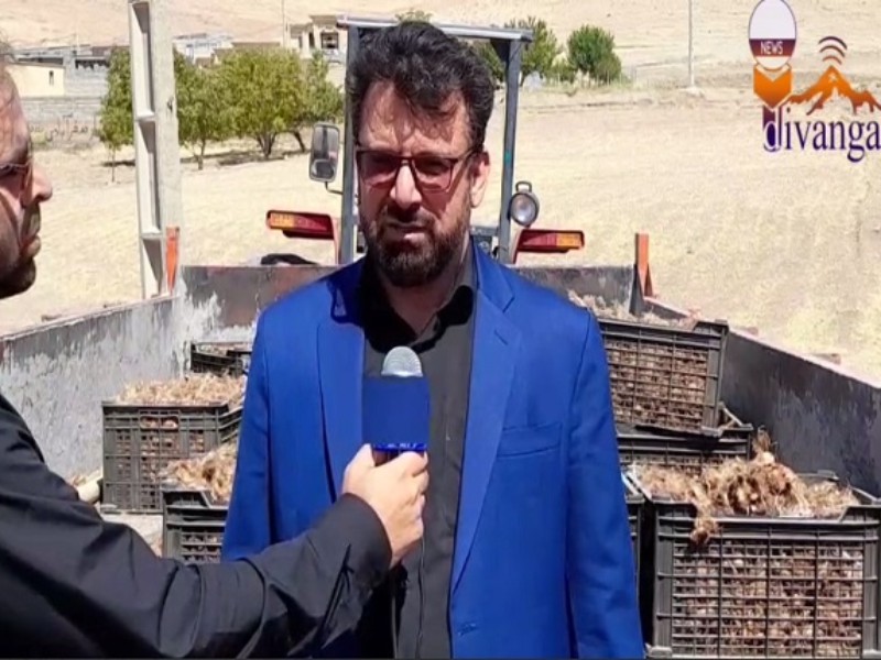 20هکتار از مزارع شهرستان هرسین زیر کشت زعفران رفته است/ کشاورزان عزیز کشت این محصول را به تعویق نیندازند 20هکتار از مزارع شهرستان هرسین زیر کشت زعفران رفته است/ کشاورزان عزیز کشت این محصول را به تعویق نیندازند