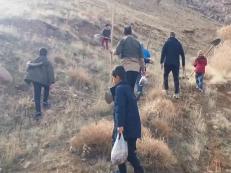 پویش کاشت بذر بلوط در اراضی جنگلی هرسین