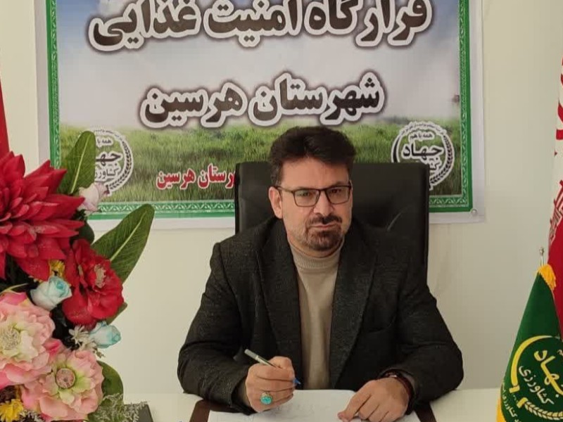 صدور 55 پرونده تعزیراتی برای نانوایی های متخلف در هرسین/ هشدار ابطال پروانه کسب در صورت تکرار تخلف