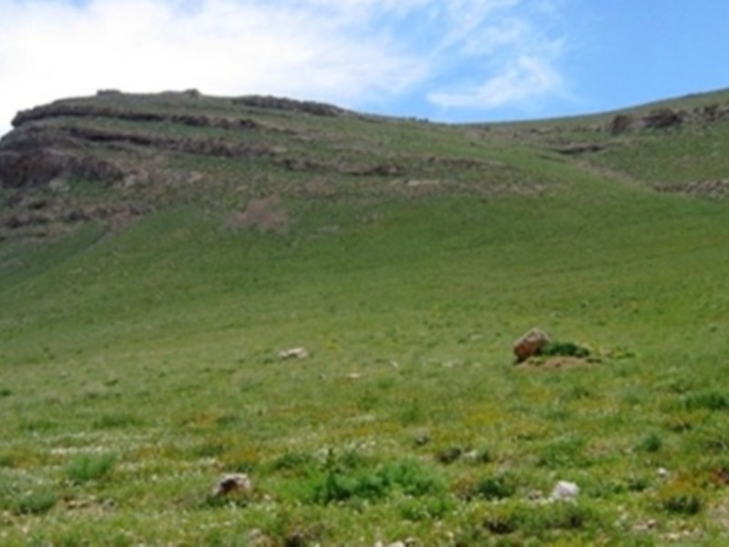 یازدهم مرداد ماه، آخرین مهلت تعیین جایگزین مرتعداران متوفی یازدهم مرداد ماه، آخرین مهلت تعیین جایگزین مرتعداران متوفی