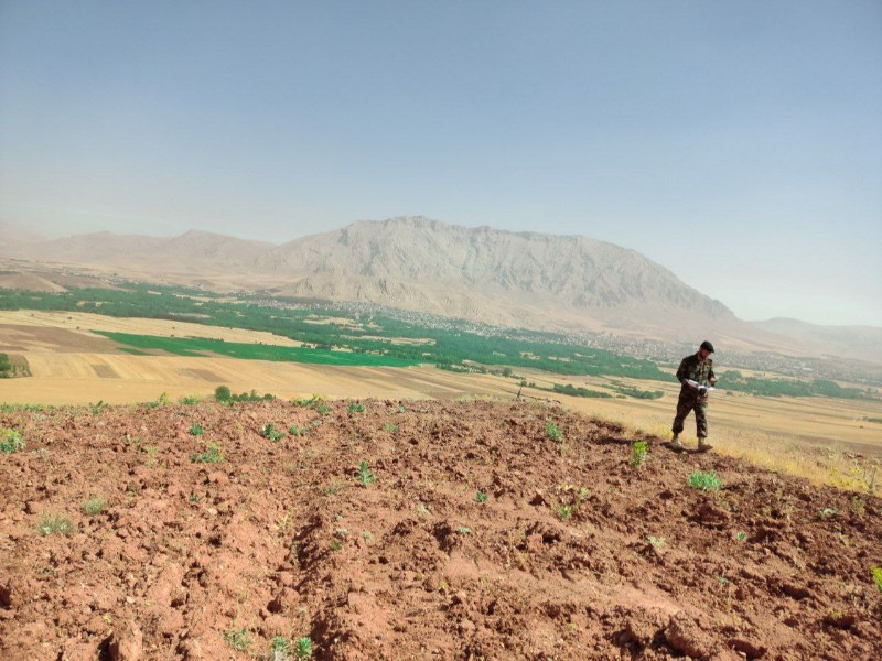 رفع تصرف و خلع ید ۲۶ هکتار ازعرصه های ملی در هرسین رفع تصرف و خلع ید ۲۶ هکتار ازعرصه های ملی در هرسین