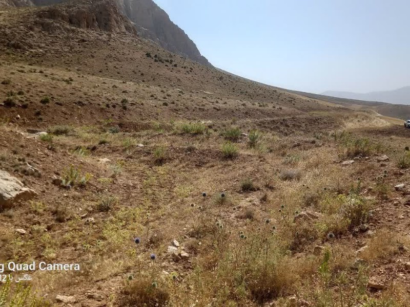 آغاز عملیات اجرایی پروژه آبخیزداری حوزه شمال شهر هرسین