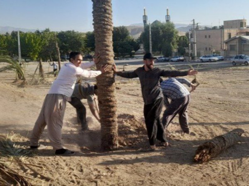 مراحل آماده سازی مراسم بازسازی واقعه غدیر خم در هرسین_تصویر مراحل آماده سازی مراسم بازسازی واقعه غدیر خم در هرسین_تصویر