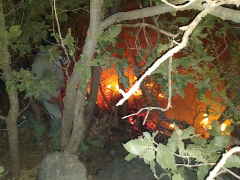 180هکتار از اراضی پناهگاه حیات وحش بیستون طعمه حریق شد