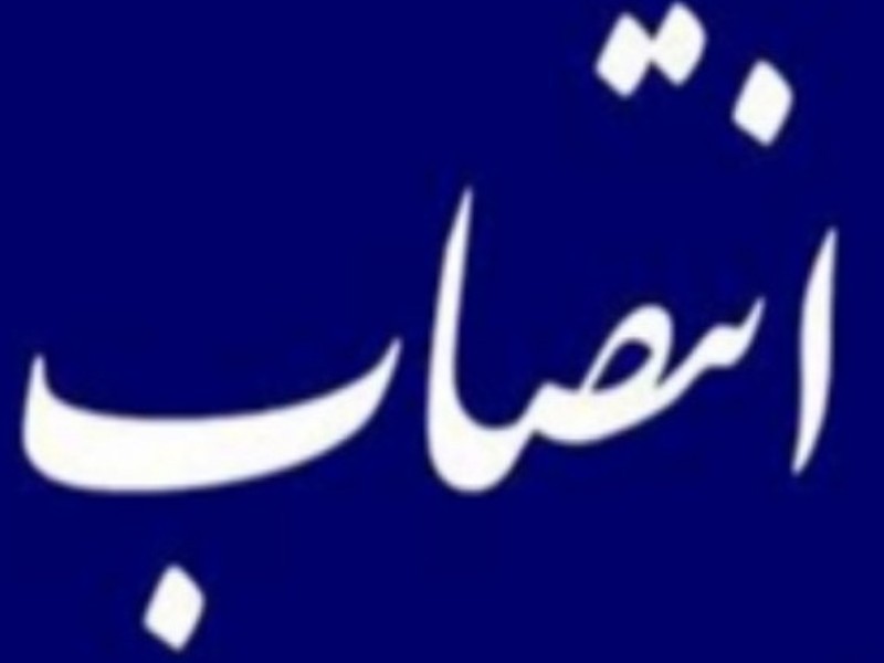 مدیر عامل شرکت صنایع شیمیایی نگین سنقر منصوب شد