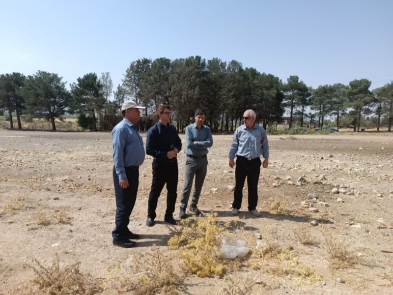 ایستگاه تولید بذر گیاهان مرتعی در بخش بیستون راه اندازی می‌شود