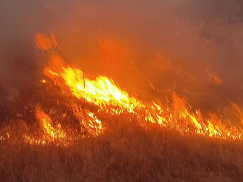 حریق مراتع روستای چنار با کمک مردم مهار شد+عکس و فیلم