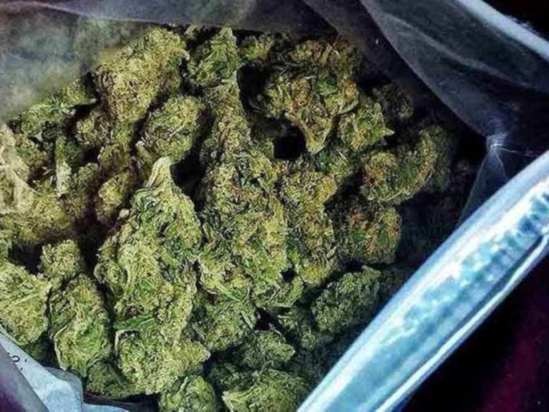 کشف 10 کیلوگرم ماده مخدر گل در هرسین