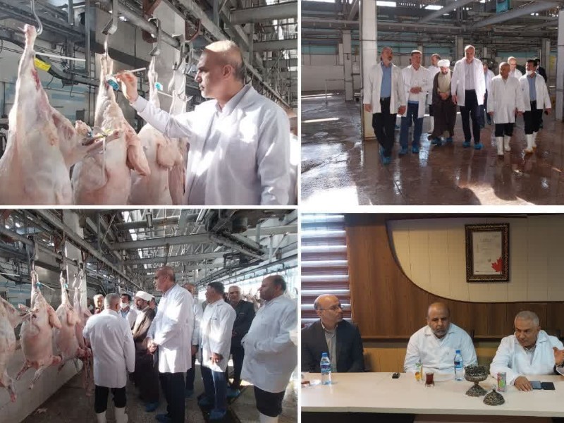 لزوم ضابطه مند شدن کشتار دام در هرسین لزوم ضابطه مند شدن کشتار دام در هرسین