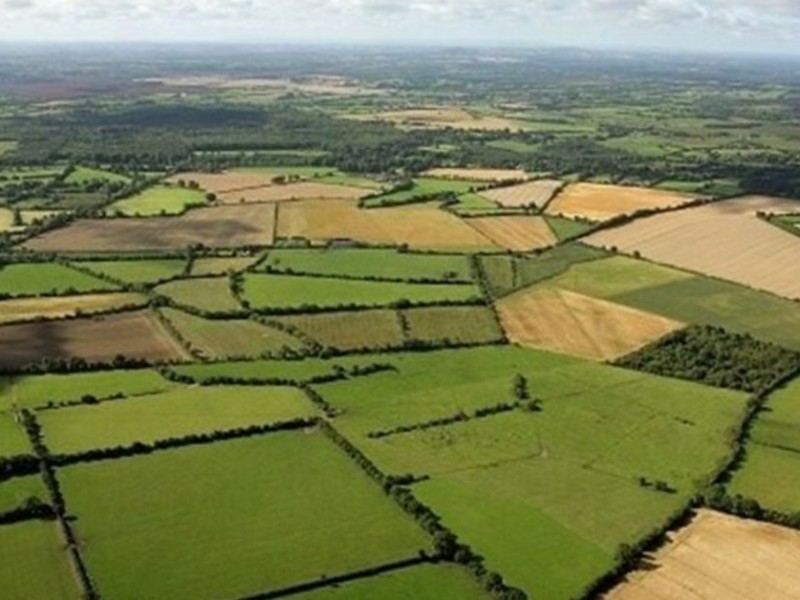 صدور ۵۶۰ هکتار اسناد تک برگ در شهرستان هرسین صدور ۵۶۰ هکتار اسناد تک برگ در شهرستان هرسین