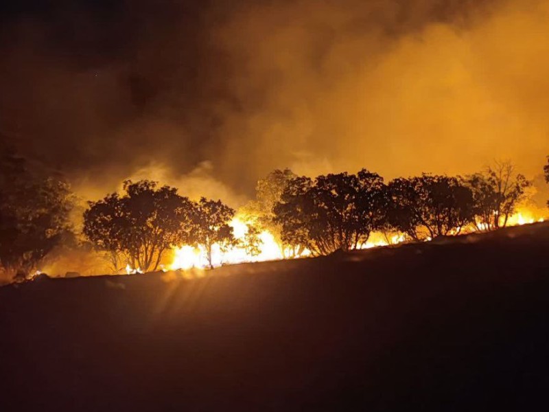 آتش سوزی در جنگل های روستای بالاندر هرسین مهار شد آتش سوزی در جنگل های روستای بالاندر هرسین مهار شد