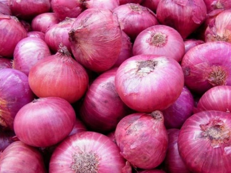پیش بینی برداشت 10هزار تن پیاز از مزارع هرسین پیش بینی برداشت 10هزار تن پیاز از مزارع هرسین
