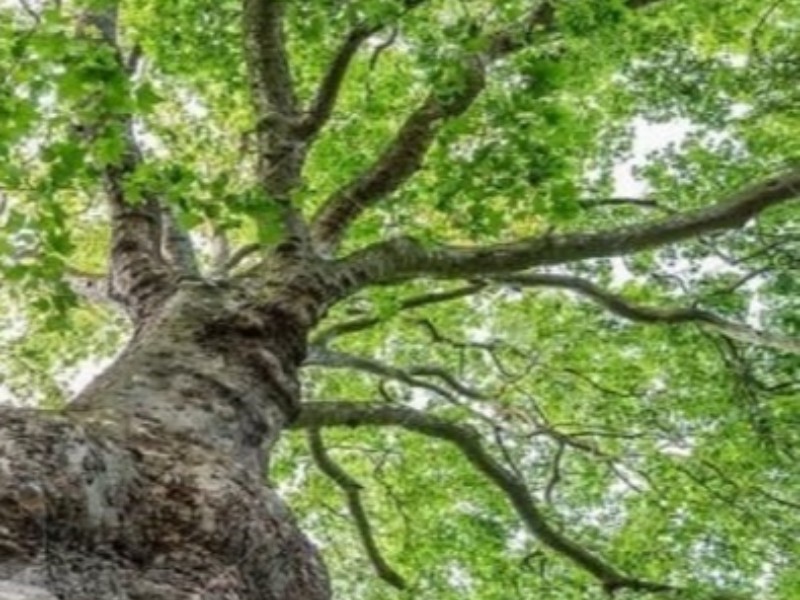 ثبت دو اثر ملی طبیعی و صنعتی هرسین  در فهرست آثار ملی، ثبت دو اثر ملی طبیعی و صنعتی هرسین  در فهرست آثار ملی،