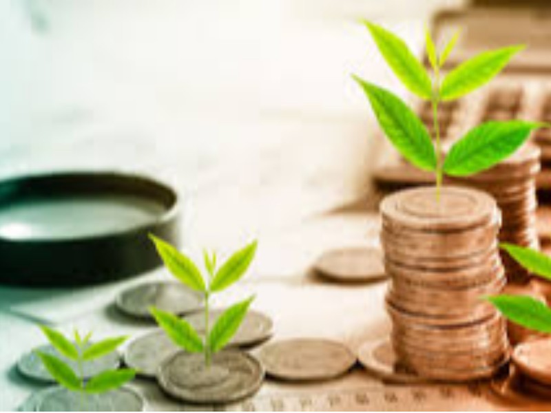 توزیع عادلانه ثروت ، درمان آسیب های اقتصادی