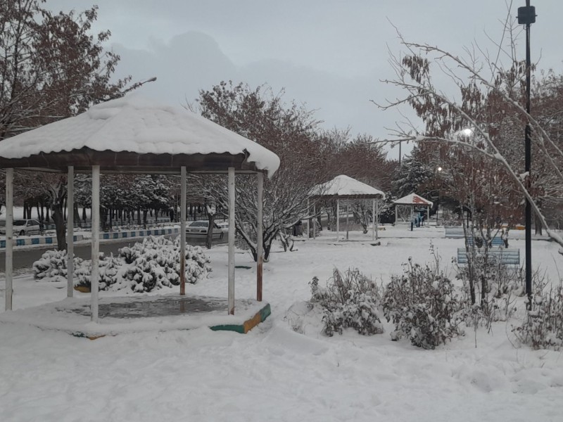 تصاویر زیبا از بارش برف در هرسین