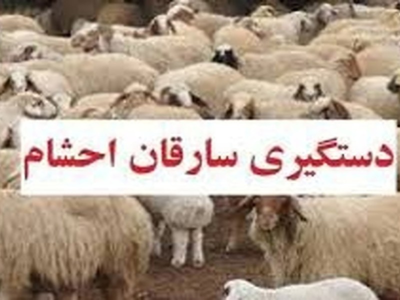 دستبند پليس هرسين بر دستان سارق احشام دستبند پليس هرسين بر دستان سارق احشام