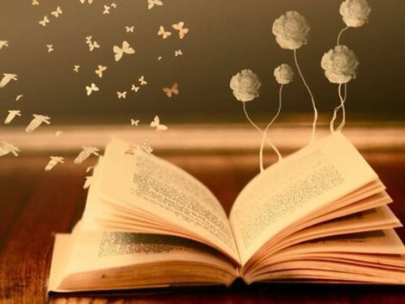 کتاب، چراغ هدایت و معمار اندیشه کتاب، چراغ هدایت و معمار اندیشه