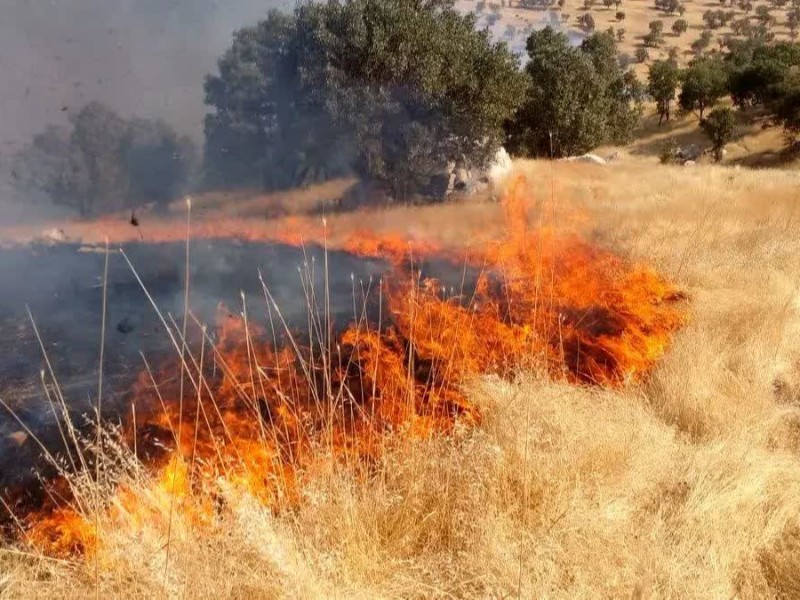 هشدار اداره منابع طبیعی هرسین به کشاورزان؛ از آتش زدن بقایای گیاهی خودداری کنید هشدار اداره منابع طبیعی هرسین به کشاورزان؛ از آتش زدن بقایای گیاهی خودداری کنید